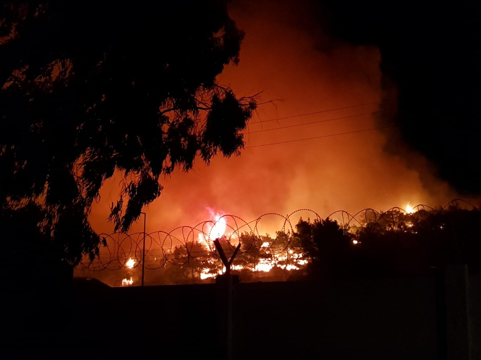 Balıkesir Ayvalık Şeytan Sofrası Badavut-Balcılar-Sarımsaklı mevkisinde yangın