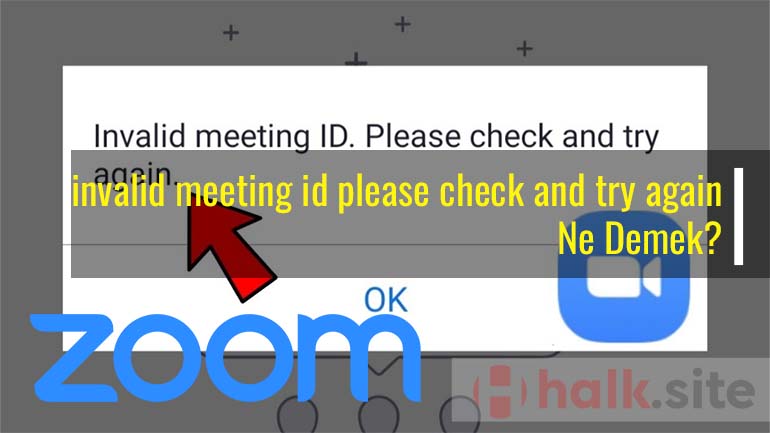 invalid meeting id please check and try again ne demek
